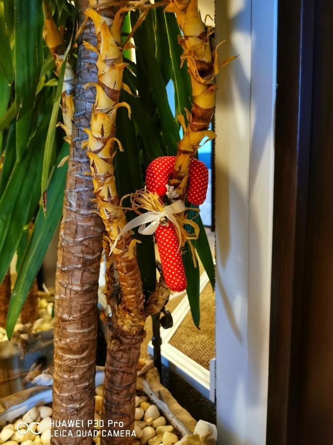 Hotel Swiss Шумен Екстериор снимка